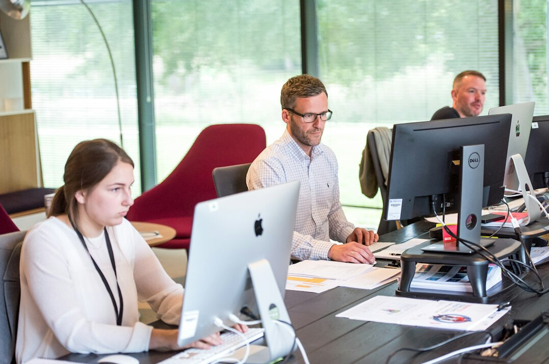 business team using software